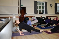 A day of Hatha Yoga with the CYF, Seminar Frb 2015